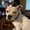 Lucy L.