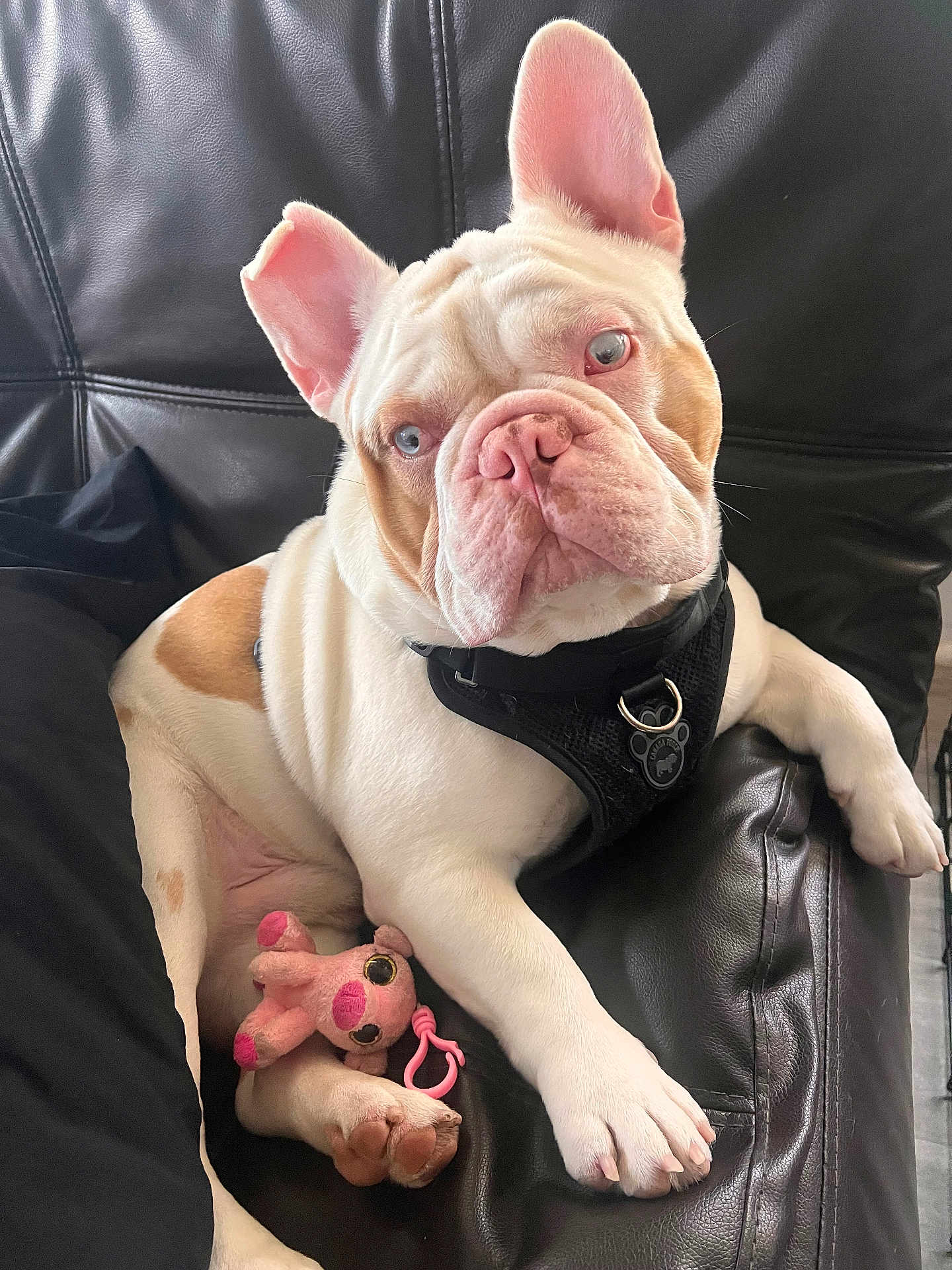 Chunky