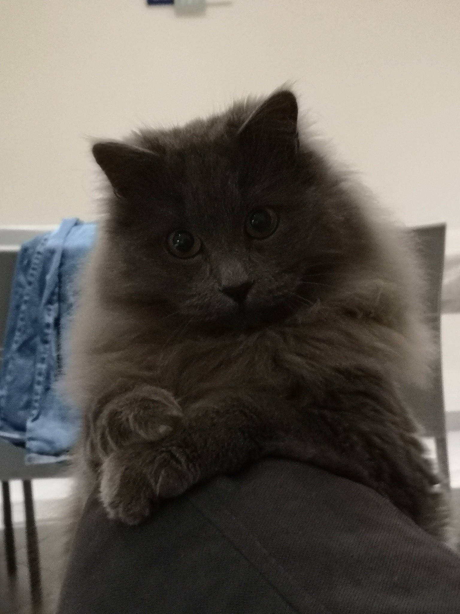 Oskar