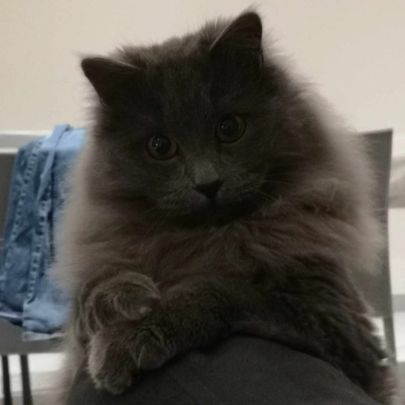 Oskar
