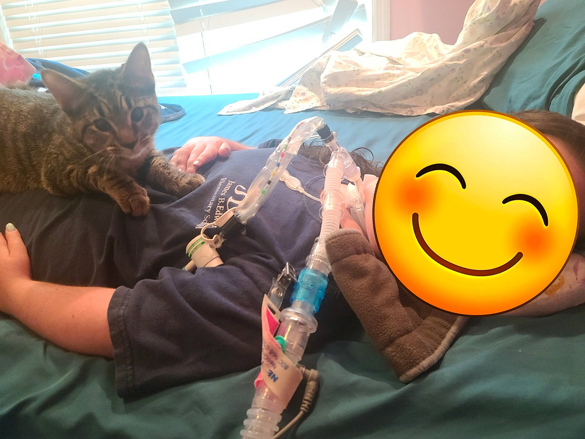 Nia joined the competition — help win amazing prizes! art, carnivore, cat, child, comfort, domestic_short_haired_cat, emoticon, felidae, fun, fur, happy, linens, people, room, small_to_medium_sized_cats, smiley, tail, textile, visual_arts, whiskers