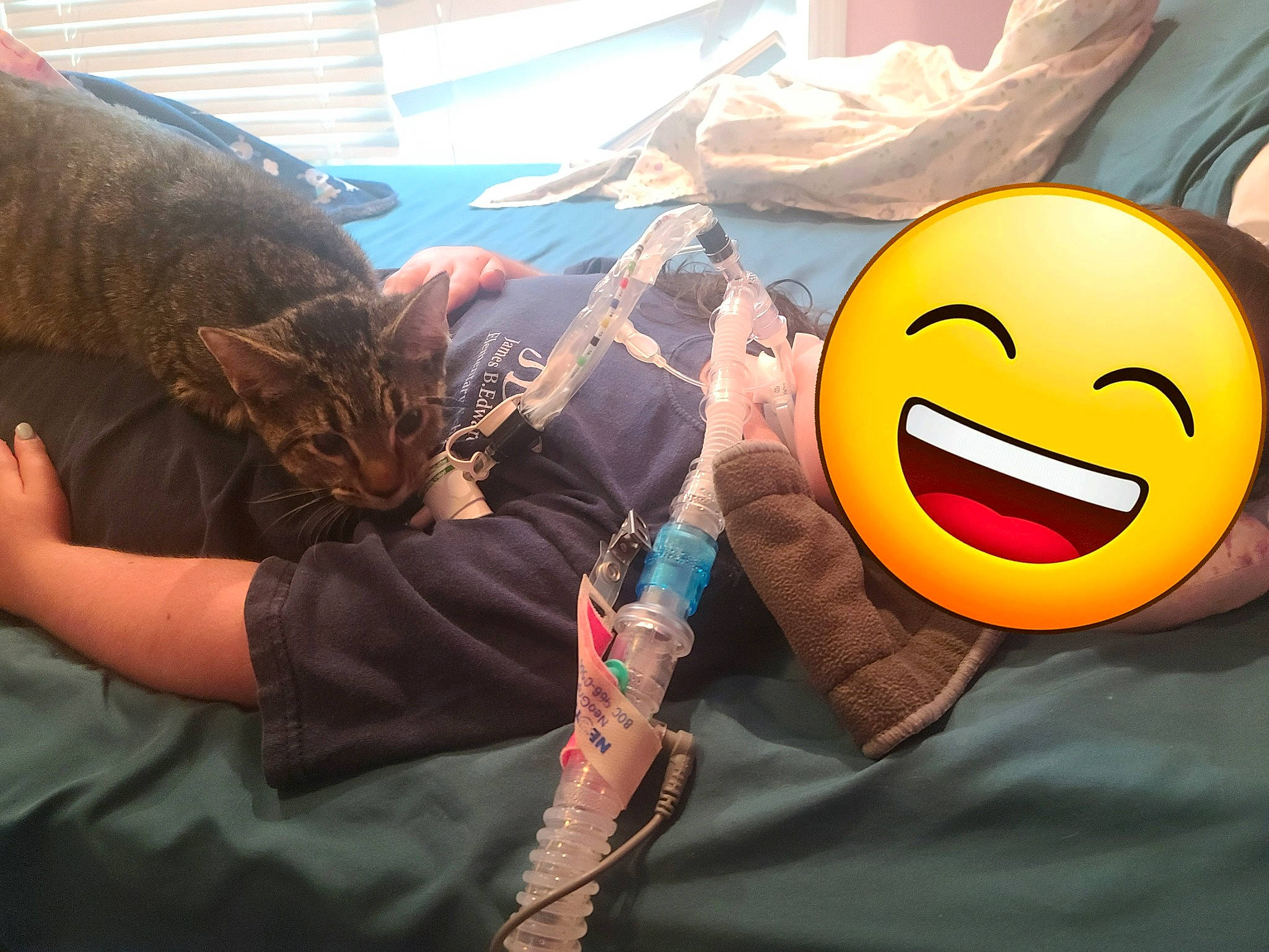 Nia is registered to the contest to win money with this photo: art, bedding, carnivore, cat, claw, comfort, emoticon, felidae, fictional_character, fur, happy, linens, personal_protective_equipment, room, selfie, small_to_medium_sized_cats, smiley, t_shirt, textile, visual_arts