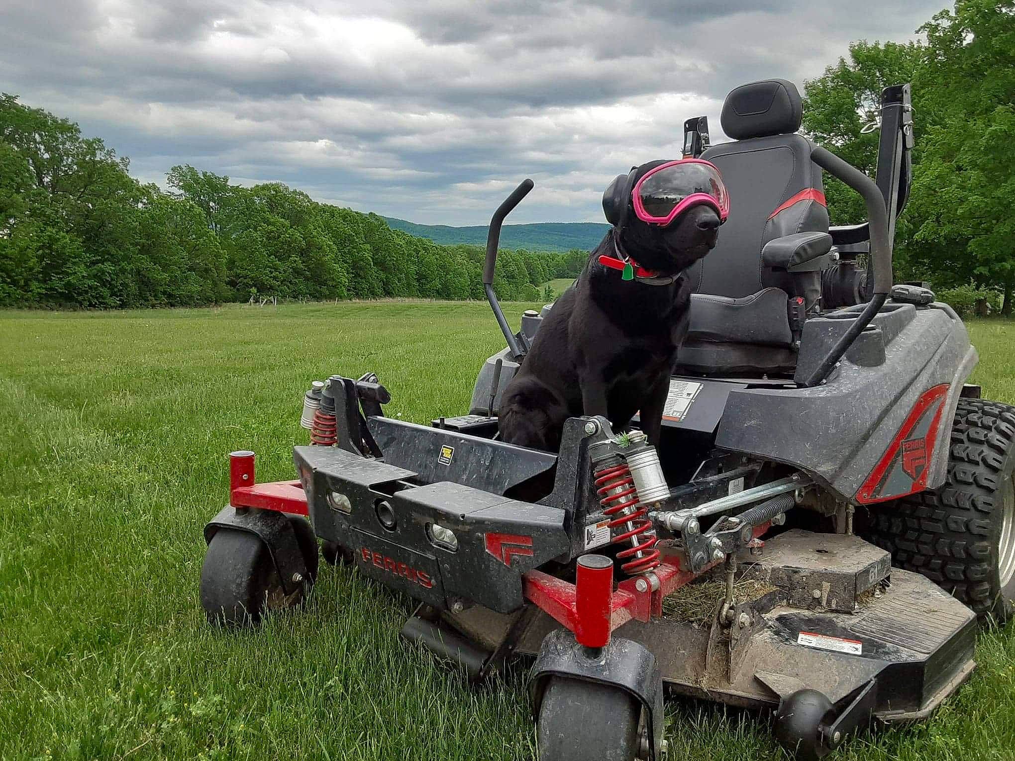 Nitro is registered to the contest to win money with this photo: agricultural_machinery, auto_part, automotive_design, automotive_exterior, automotive_tire, automotive_wheel_system, bumper, cloud, grass, grassland, machine, motor_vehicle, outdoor_power_equipment, plant, sky, tire, tread, tree, vehicle, wheel