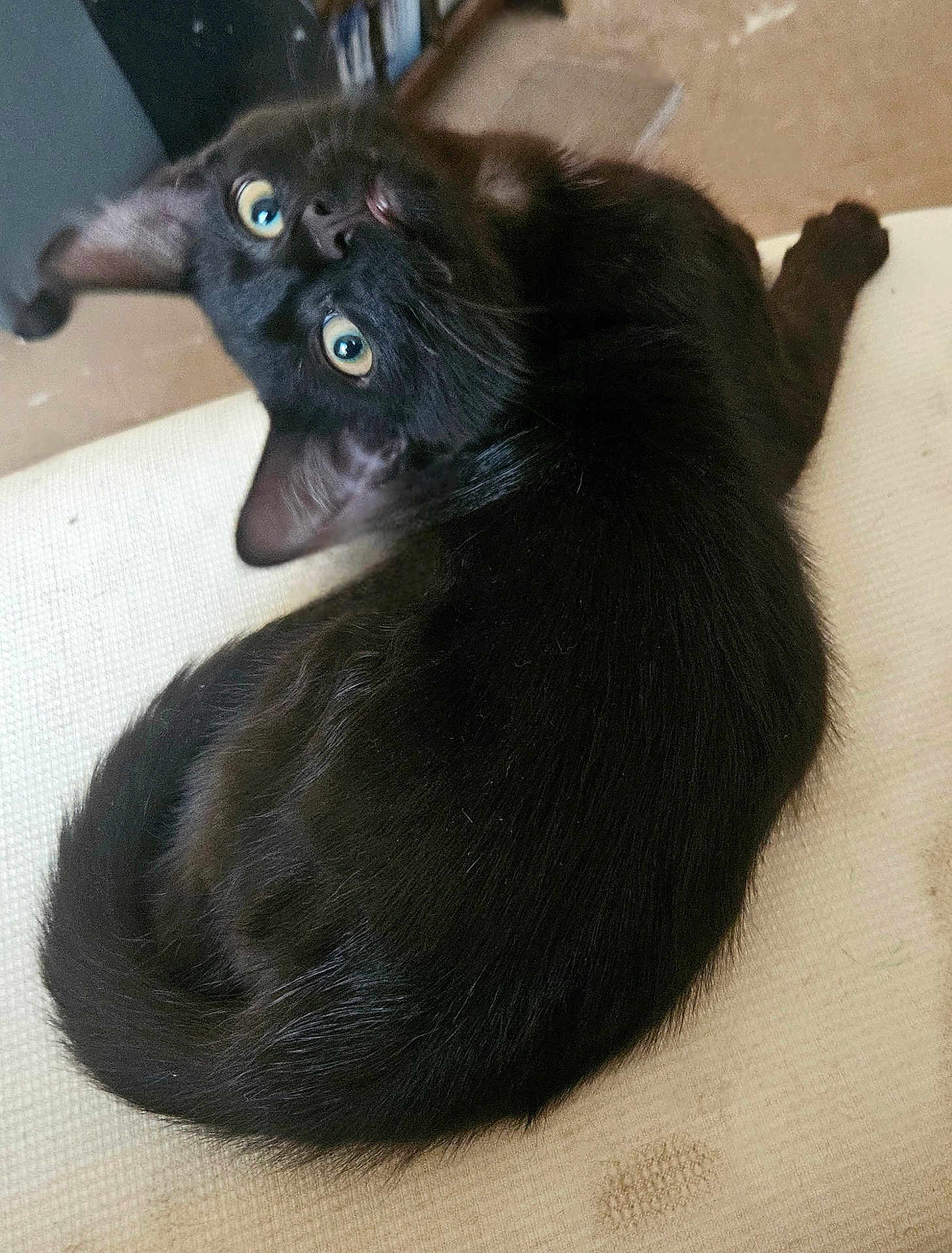 Salem