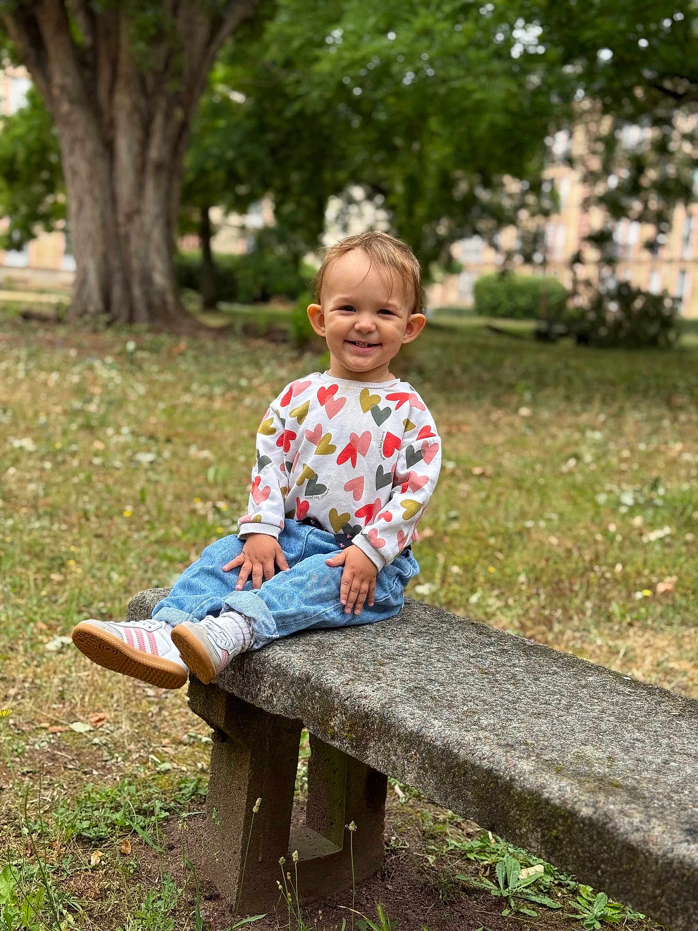 Alva a rejoint le concours — aidez-le/la à gagner de superbes lots ! toddler, child, smiling, sitting, stone_bench, park, outdoor, grass, tree, greenery, jeans, sneakers, heart_pattern, sweater, happy, person, portrait, casual_clothing, nature, daylight