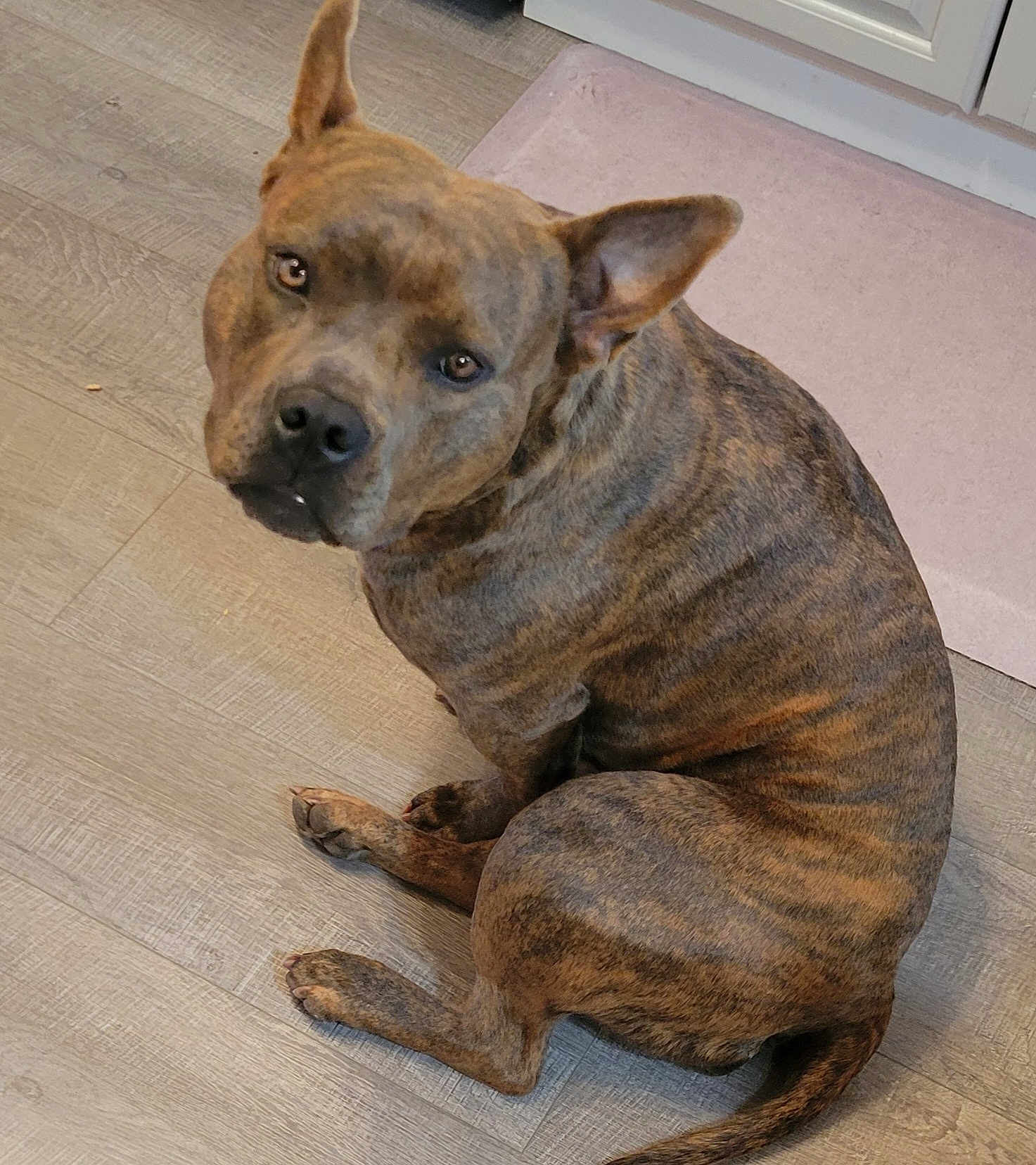 Nala