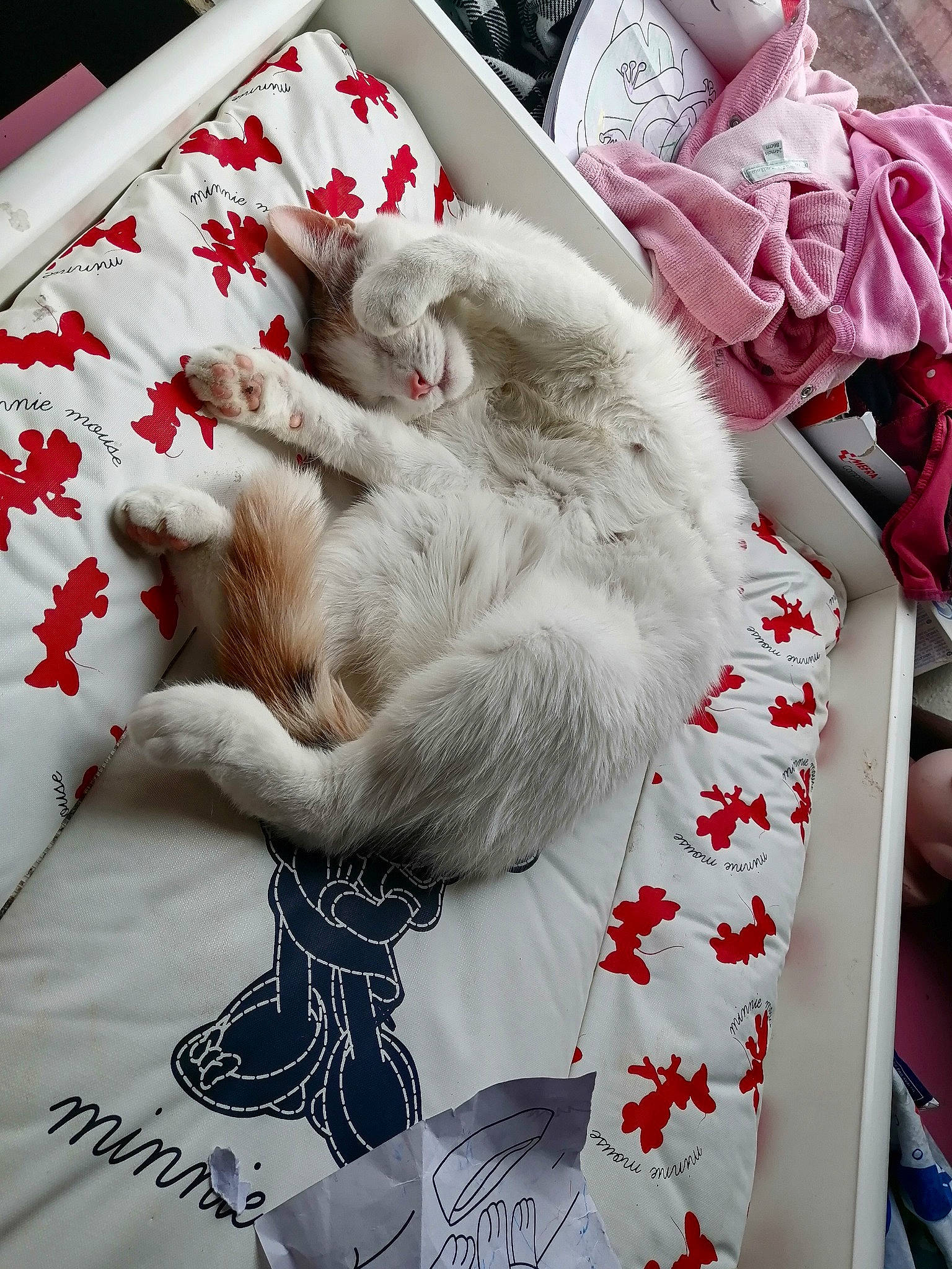 Tina participe au concours pour gagner de l'argent avec cette photo : art, bed_sheet, carmine, carnivore, cat, comfort, companion_dog, domestic_short_haired_cat, event, felidae, fur, linens, pattern, paw, petal, small_to_medium_sized_cats, tail, textile, whiskers, white