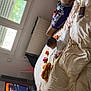 man, baby, bed, toys, window, television, phone, shirtless, tattoos, blanket, indoor, furniture, radiator, carpet, cushion, person, child, playing, relaxing, casual