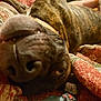 animal, brindle, brown, canine, close_up, companion, cute, dog, domestic, face, fur, indoor, lying_down, nose, patterned, pet, quilt, relaxed, resting, sleepy