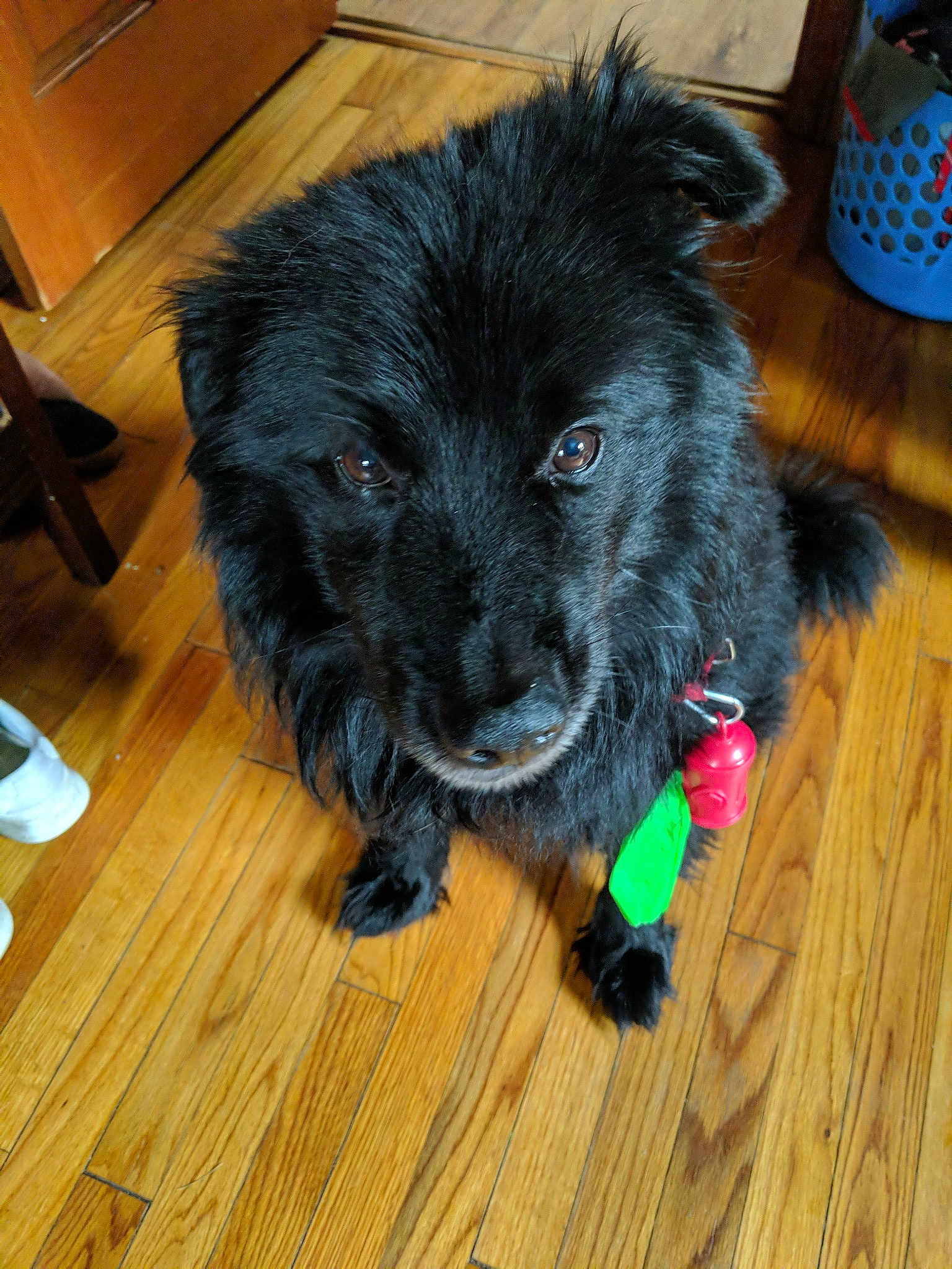 Charlie
