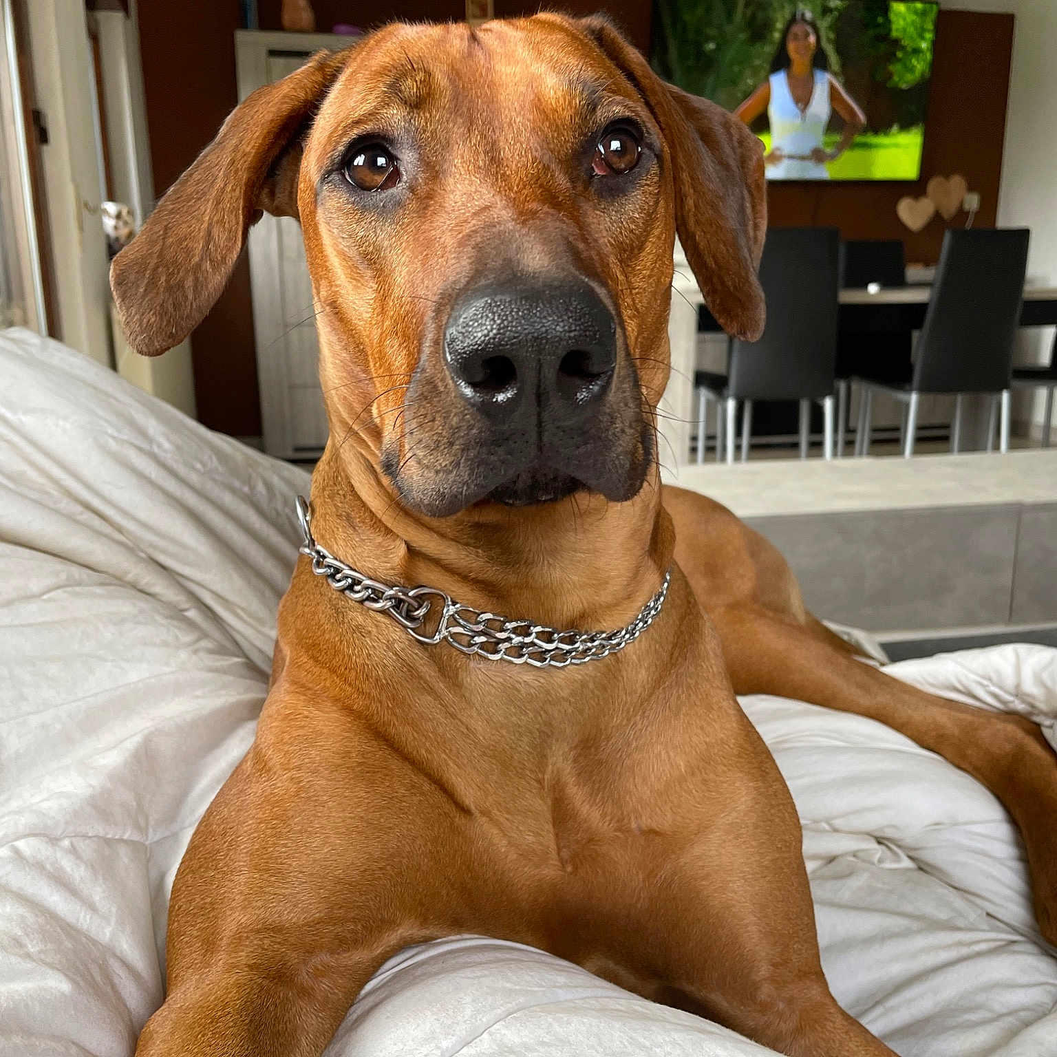 Rosie