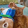 cat, orange_tabby, plush_toy, bed, indoor, cozy, sleepy, pet, feline, soft_toy, relaxation, cute, snuggling, whiskers, ears, fur, domestic_animal, resting, comfort, closeup