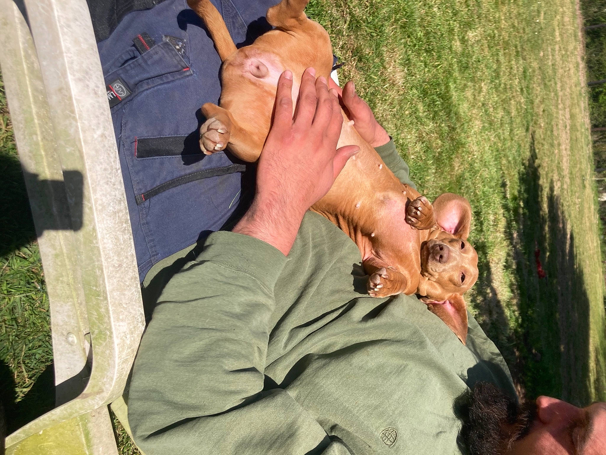 Only a rejoint le concours — aidez-le/la à gagner de superbes lots ! comfort, drinking, eyewear, fawn, finger, foot, fun, gesture, grass, hand, happy, human_leg, jaw, leisure, nail, sitting, sunglasses, thumb, wrinkle, wrist