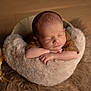 newborn, baby, sleeping, basket, fur, blanket, cozy, soft, hands, head, face, wooden_floor, vase, dried_flowers, decor, indoors, portrait, peaceful, resting, infant