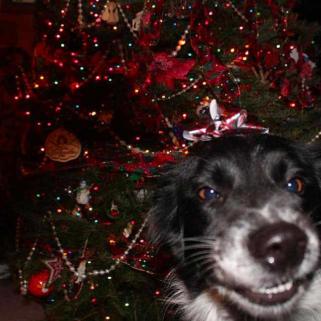 Cassie joined the competition — help win amazing prizes!