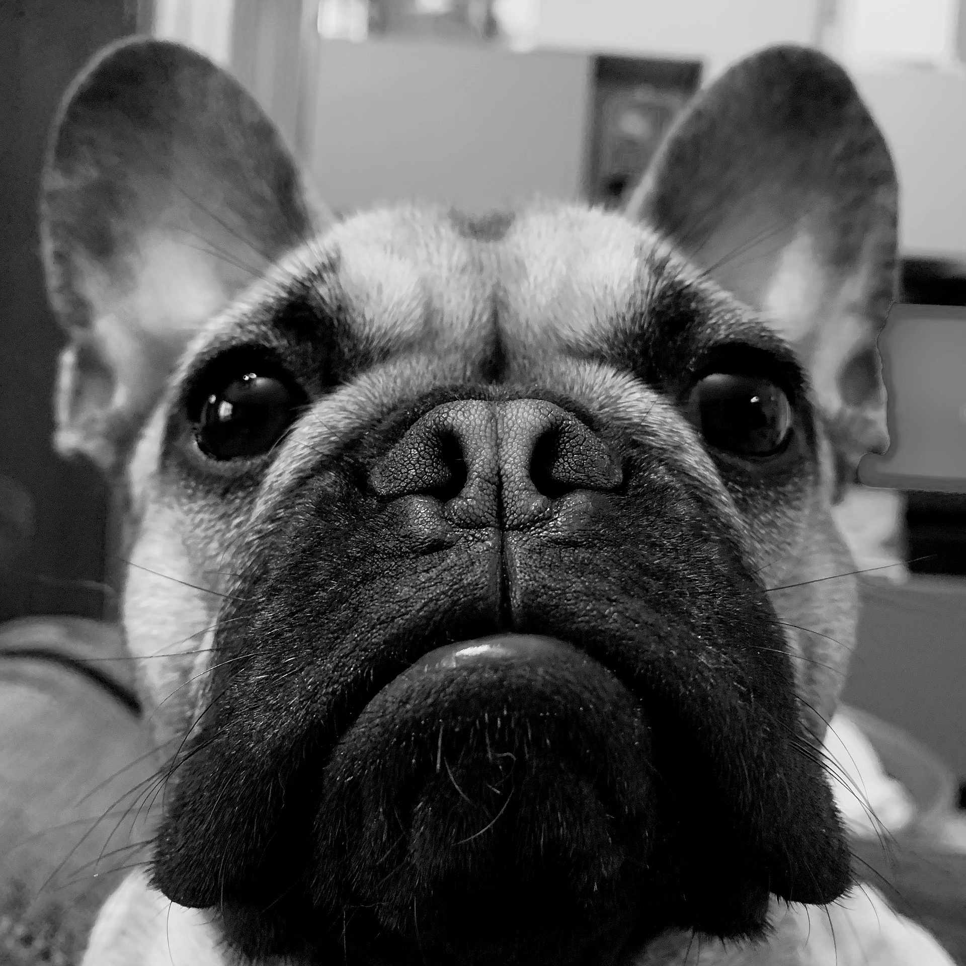 Obi