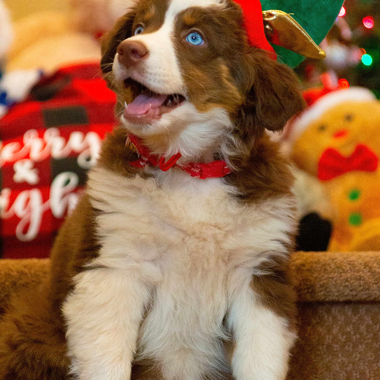 Charlie