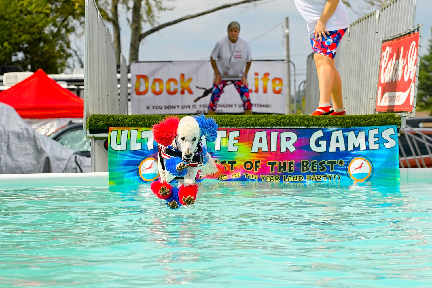 Poppy joined the competition — help win amazing prizes! advertising, ball, competition, competition_event, event, fun, leisure, personal_protective_equipment, player, recreation, shorts, sky, sports, sports_equipment, sports_gear, swimming_pool, team, tree, water, world