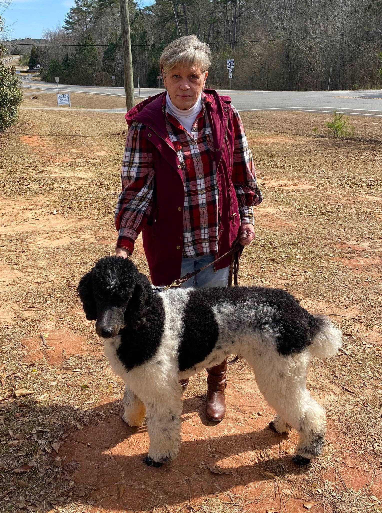 Oreo is registered to the contest to win money with this photo: canidae, carnivore, companion_dog, dog, dog_breed, fur, grass, gun_dog, hunting_dog, plant, soil, sporting_group, tail, tartan, terrier, tree, water_dog, wetterhoun, working_dog