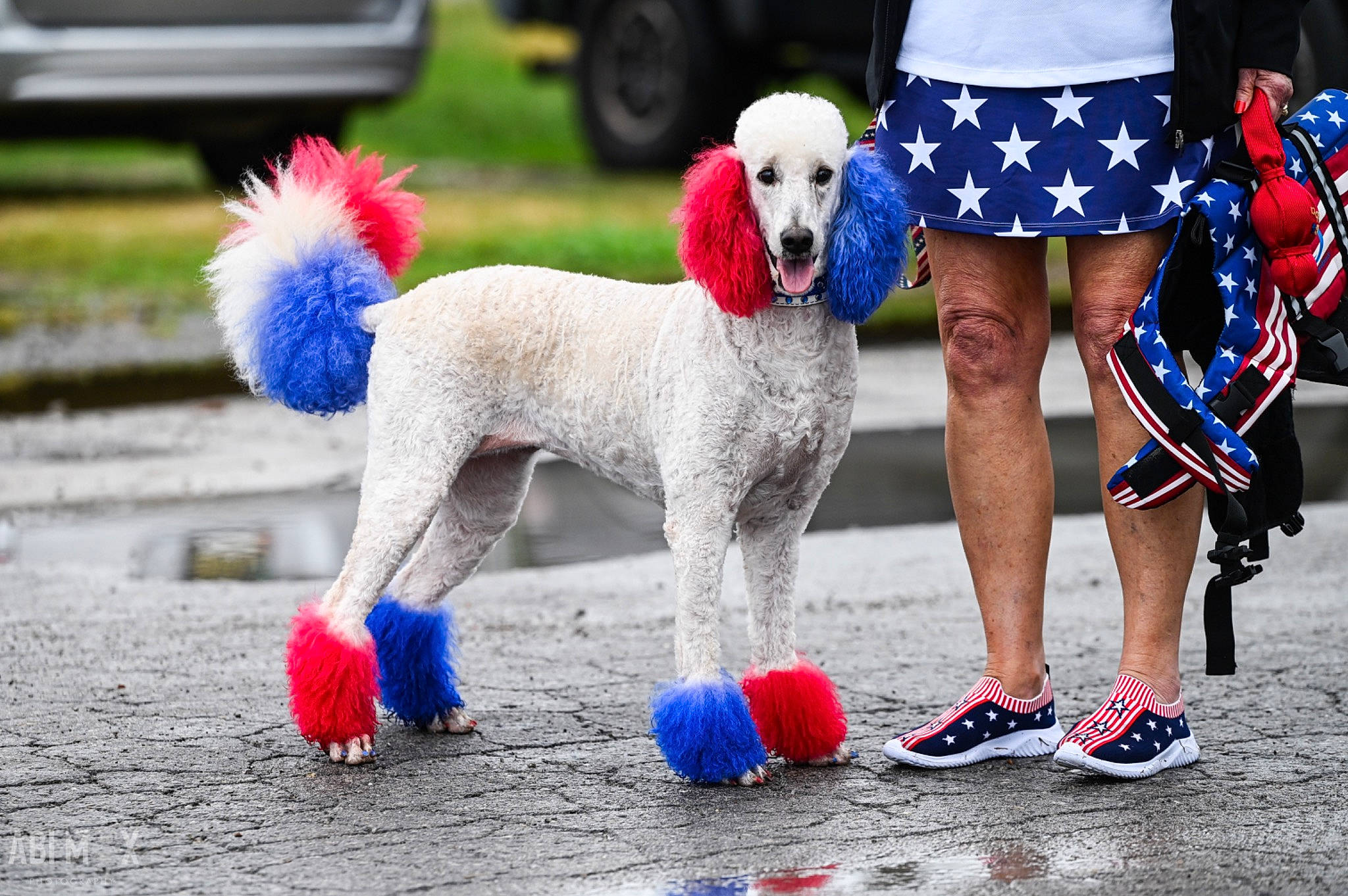 Independence Day Pop