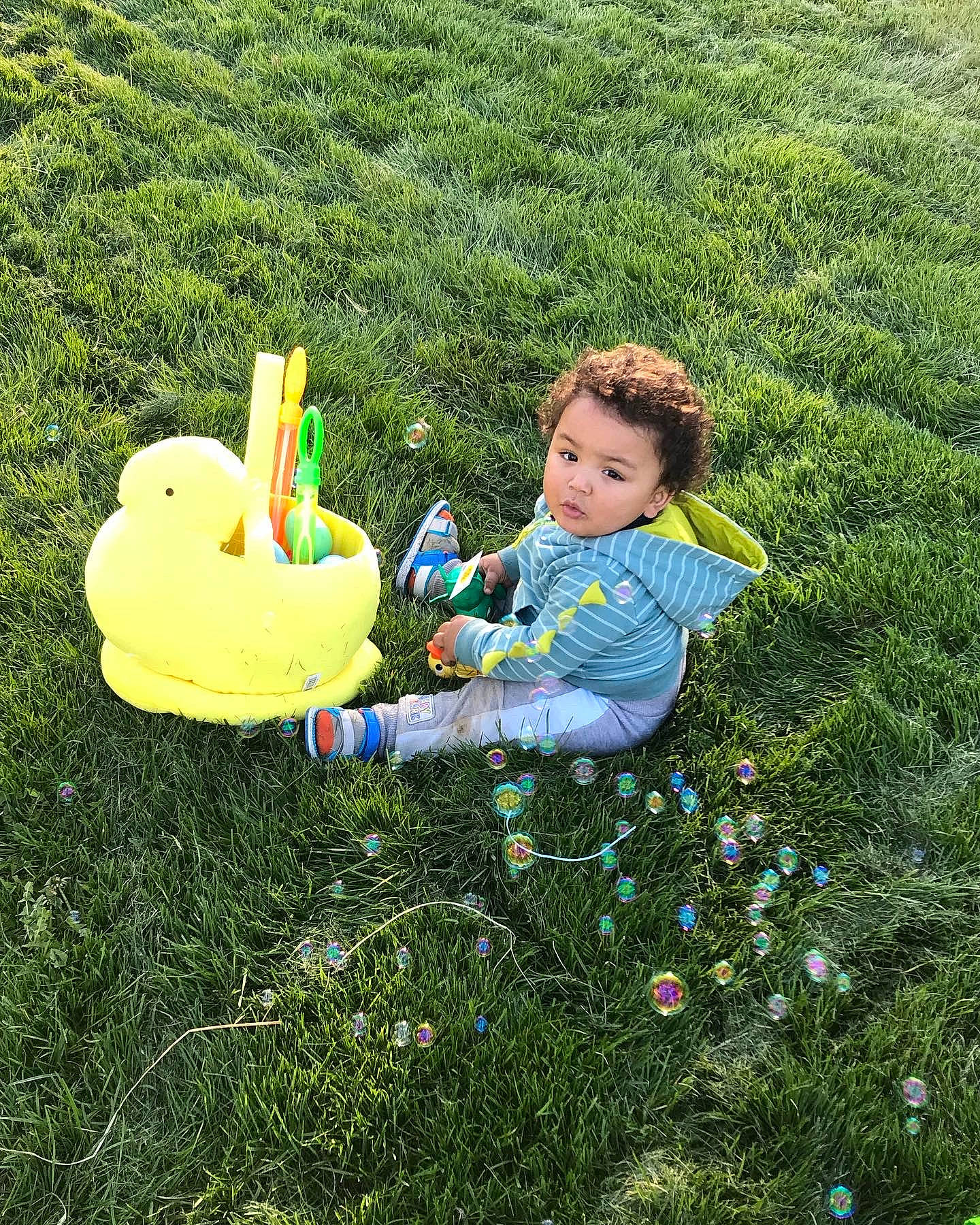Xander is registered to the contest to win money with this photo: baby, baby_toddler_clothing, child, flower, fun, grass, grass_family, grassland, groundcover, happy, landscape, lawn, leisure, meadow, natural_environment, people_in_nature, person, plant, sitting, sunlight