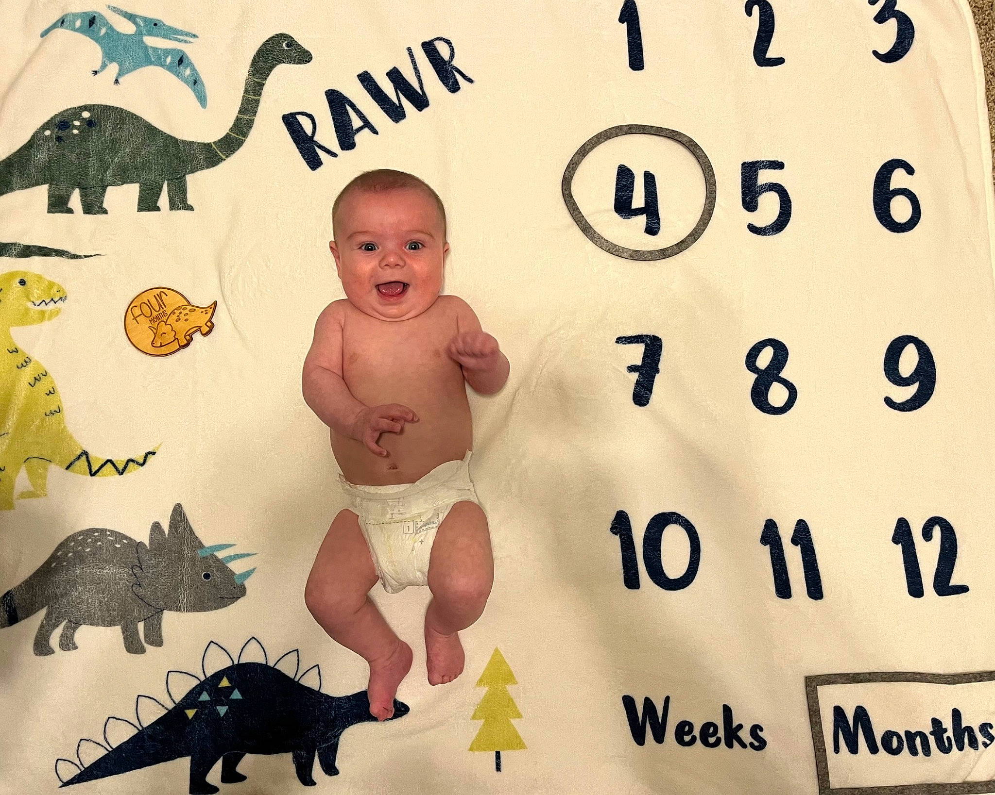 Micah is registered to the contest to win money with this photo: adaptation, alligator, american_alligator, art, baby, baby_toddler_clothing, child, dinosaur, font, happy, illustration, mammal, organism, person, reptile, saltwater_crocodile, smile, tail, terrestrial_animal, toddler