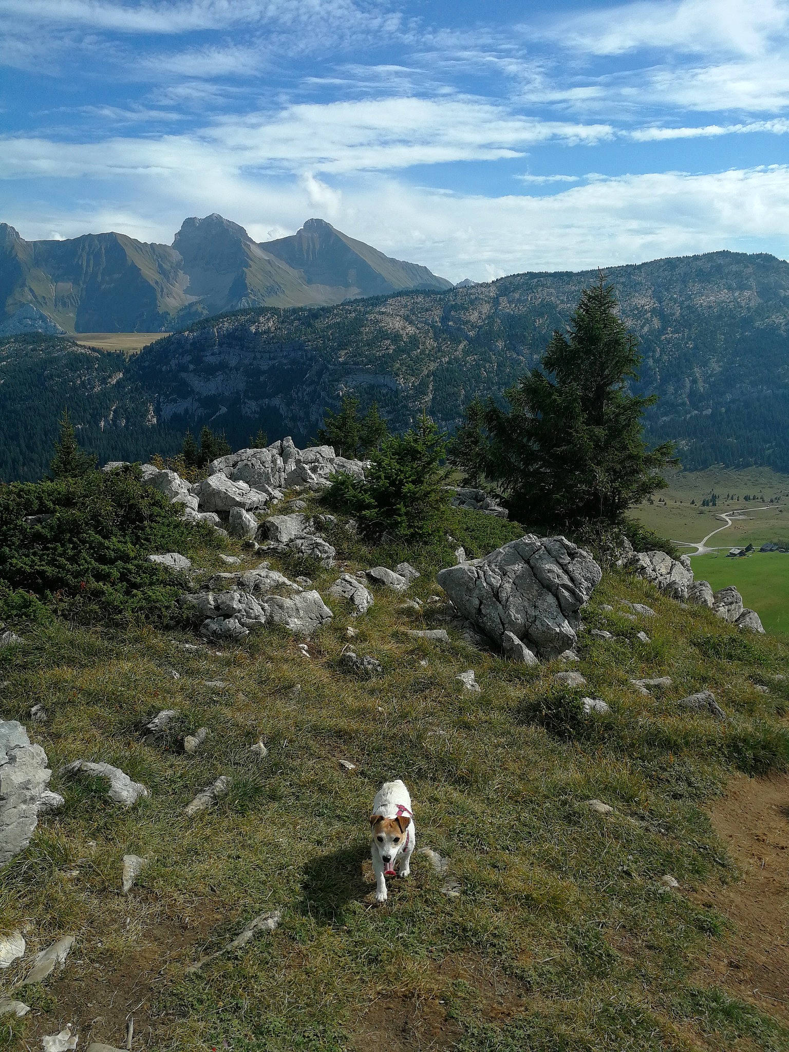 Schana participe au concours pour gagner de l'argent avec cette photo : alps, canidae, fell, grassland, highland, hill, hill_station, landscape, massif, mountain, mountain_range, mountainous_landforms, pasture, ridge, sporting_group, summit, terrain, tundra, valley, wilderness