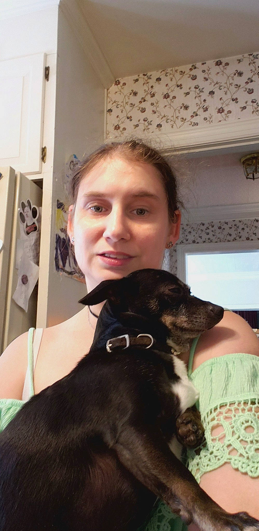 Yoda is registered to the contest to win money with this photo: canidae, carnivore, companion_dog, dog, dog_breed, german_shorthaired_pointer, puppy, selfie, sporting_group