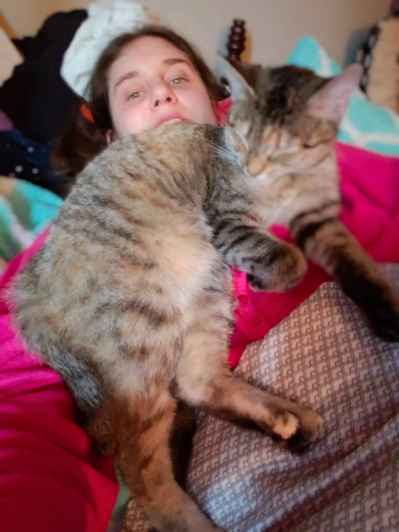 Lizzy is registered to the contest to win money with this photo: asian, california_spangled, carnivore, cat, chausie, domestic_short_haired_cat, dragon_li, egyptian_mau, european_shorthair, felidae, fur, german_rex, kitten, mammal, ocicat, pixie_bob, savannah, small_to_medium_sized_cats, tabby_cat, whiskers