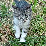 Poupette participe au concours pour gagner de l'argent avec cette photo :