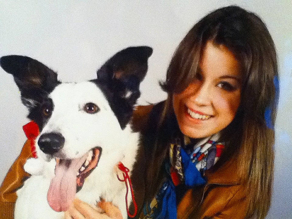 Doly participe au concours pour gagner de l'argent avec cette photo : companion_dog, dog, dog_breed, dog_breed_group, dog_like_mammal, ear, joy, person, snout