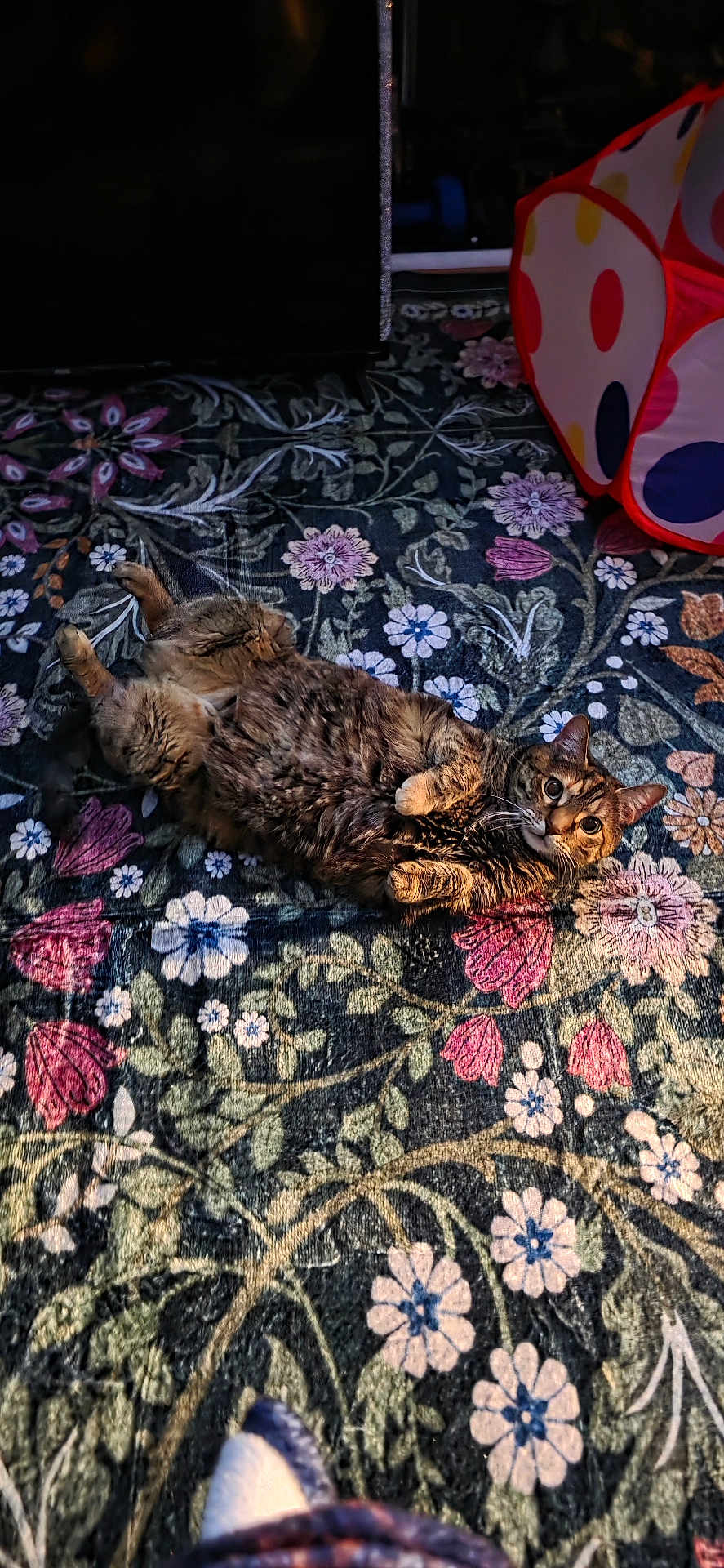 Chloe