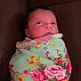 Rayellie-Marie is registered to the contest to win money with this photo: baby, newborn, infant, swaddled, blanket, floral_pattern, couch, brown, face, portrait, indoors, child, wrapped, cute, young, person, resting, comfort, soft, peaceful
