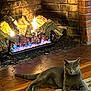 cat, gray_cat, fireplace, fire, flames, brick_wall, wood_floor, rug, indoor, cozy, pet, animal, relaxed, lying_down, warmth, home, feline, domestic_cat, comfort, resting