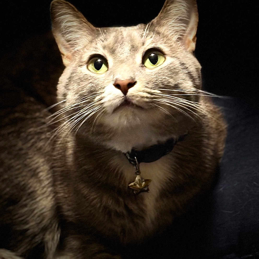 Eddie