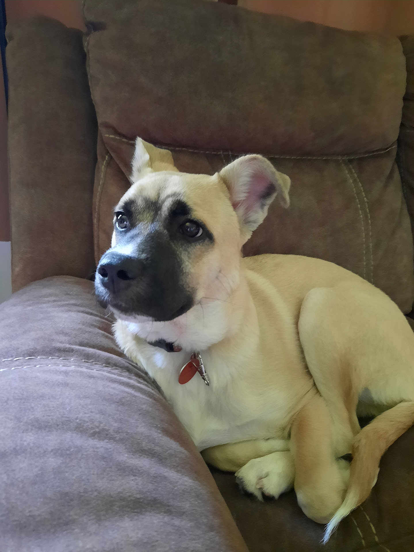 Max