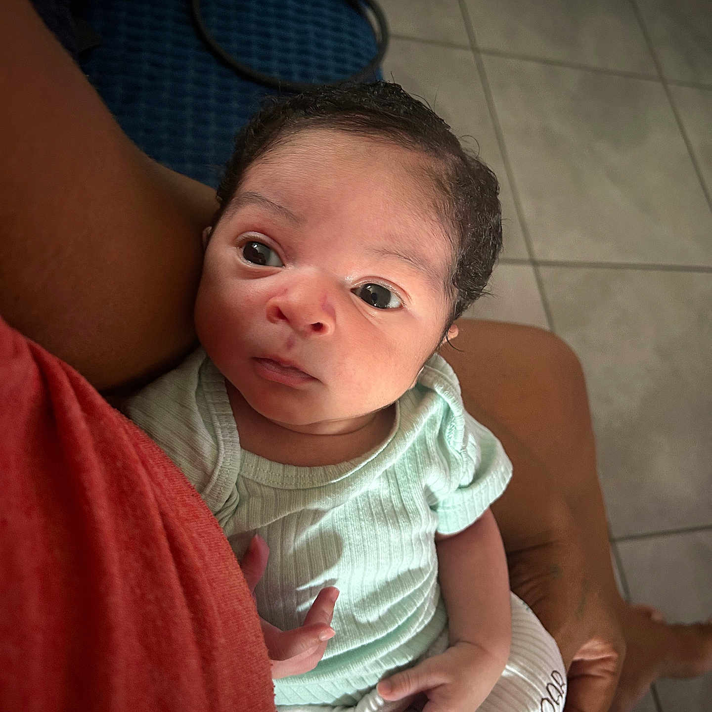 Ayden Ferus a rejoint le concours — aidez-le/la à gagner de superbes lots ! arm, baby, casual, child, clothing, curious, expression, eyes, face, floor, green_shirt, hands, holding, human, indoor, infant, patterned_pants, person, skin, tile