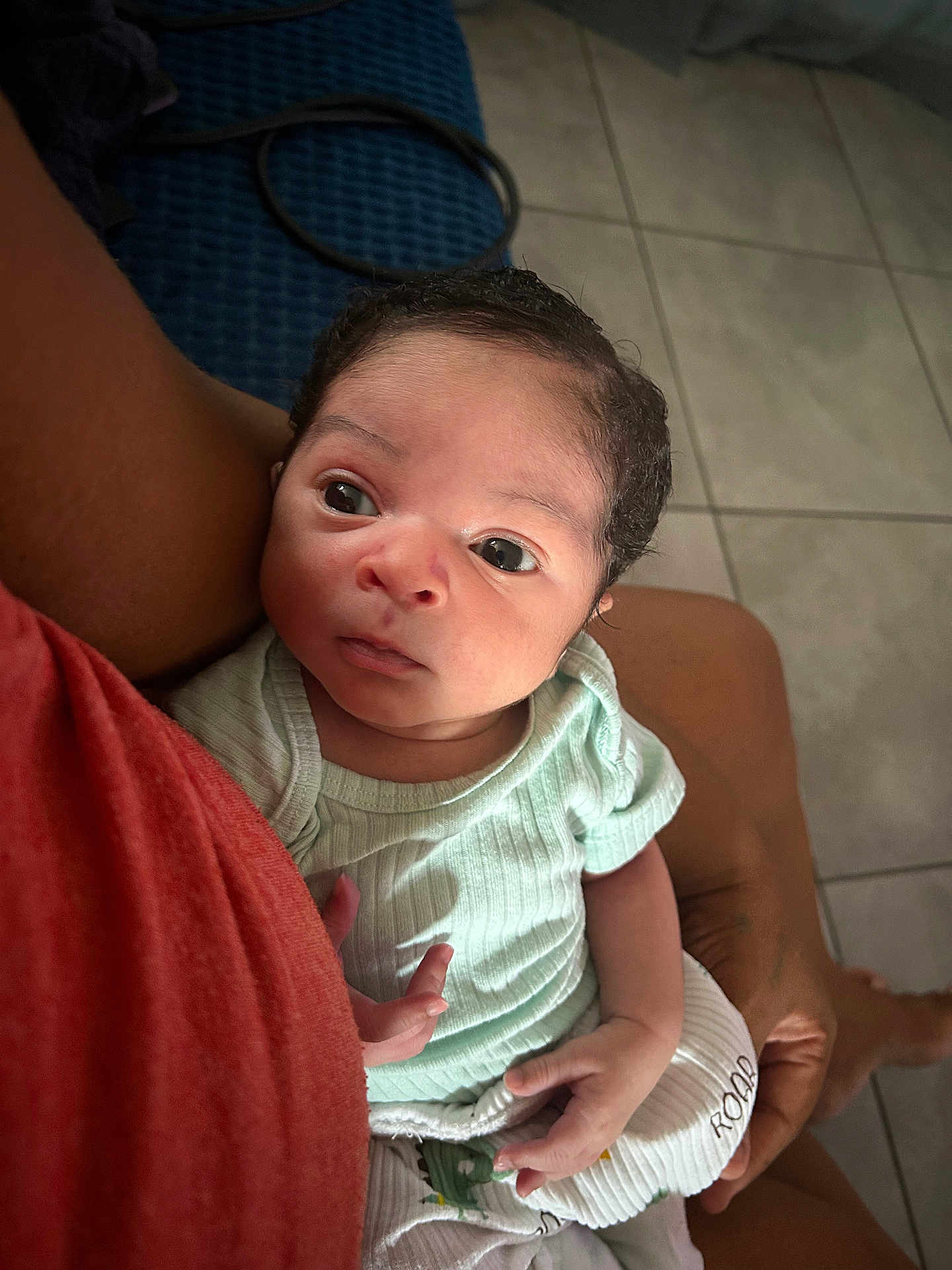 Ayden Ferus a rejoint le concours — aidez-le/la à gagner de superbes lots ! arm, baby, casual, child, clothing, curious, expression, eyes, face, floor, green_shirt, hands, holding, human, indoor, infant, patterned_pants, person, skin, tile