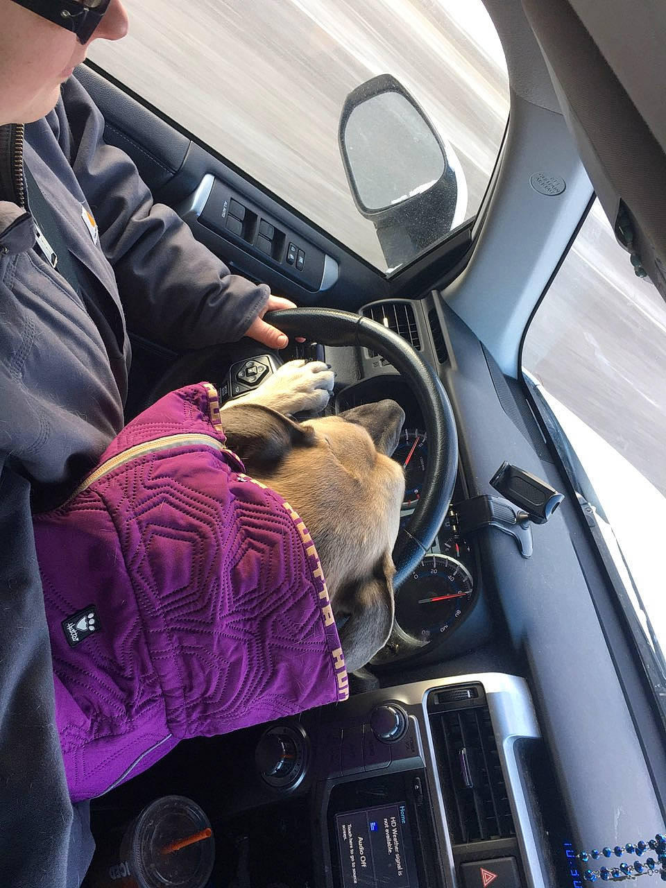 Remedy is registered to the contest to win money with this photo: auto_part, automotive_design, automotive_exterior, automotive_lighting, automotive_mirror, automotive_wheel_system, car, car_seat, center_console, hat, hood, motor_vehicle, personal_luxury_car, rear_view_mirror, steering_part, steering_wheel, technology, vehicle, vehicle_door, windshield