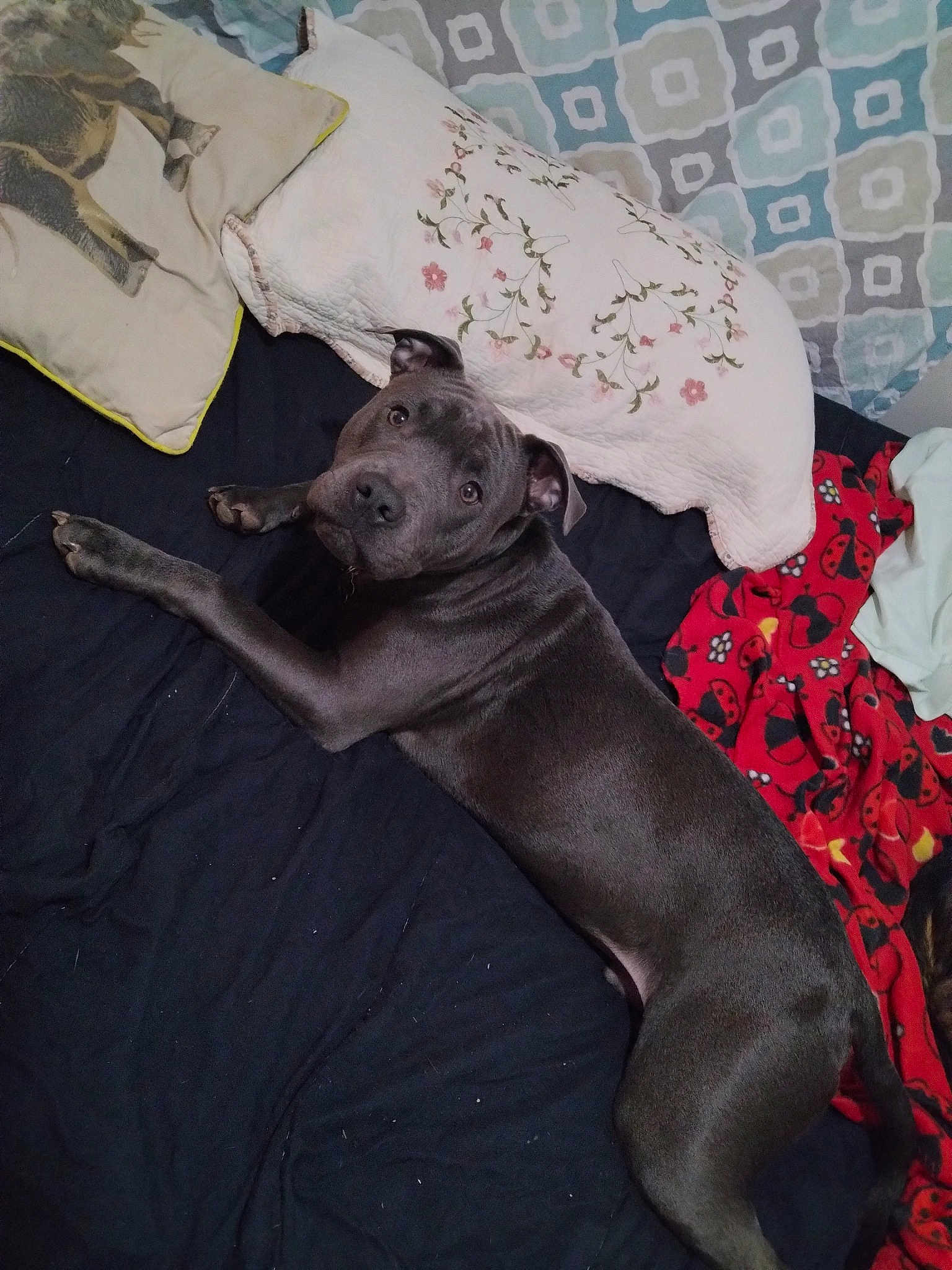 Titus