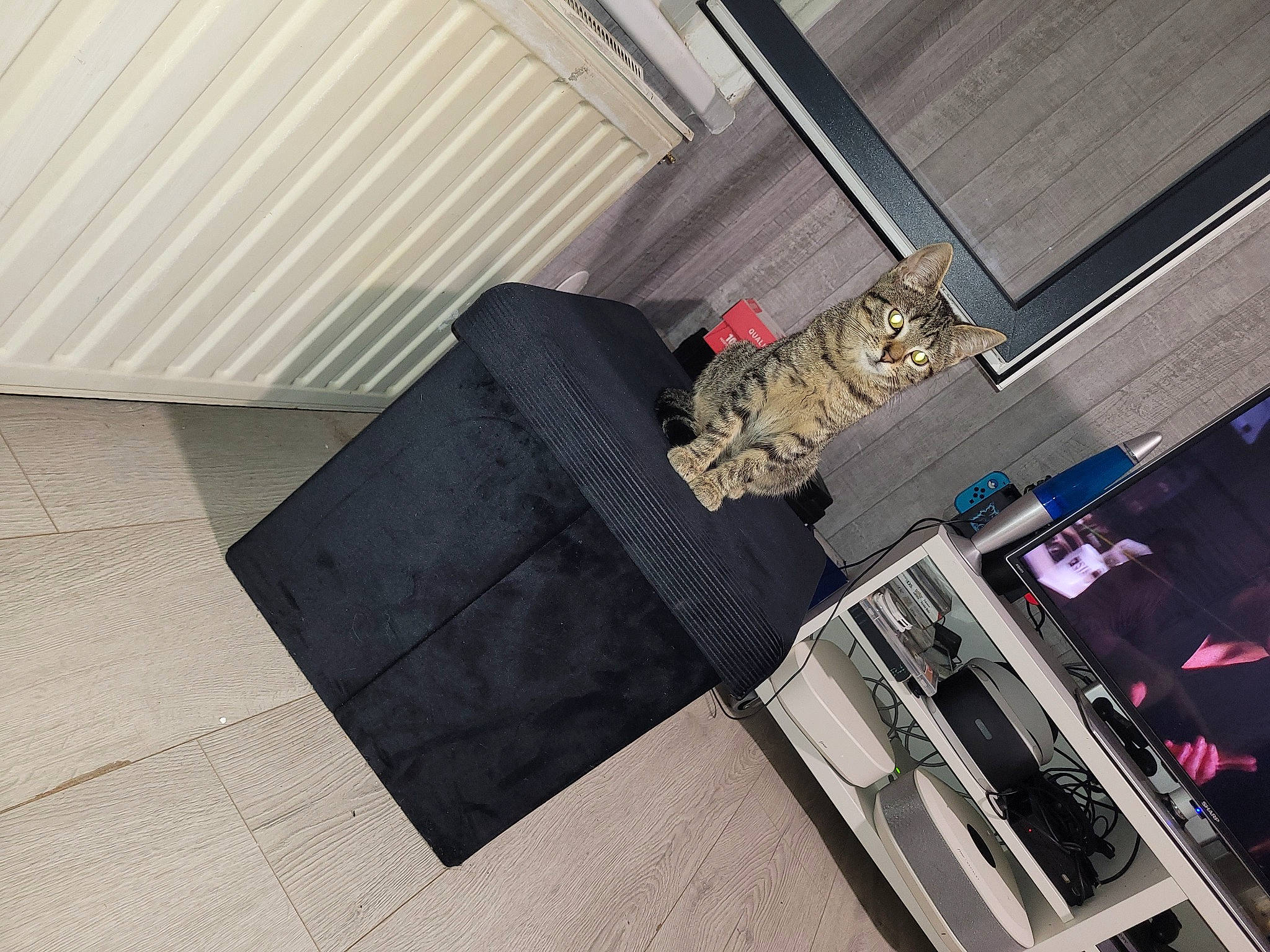 Poutchi participe au concours pour gagner de l'argent avec cette photo : automotive_design, ceiling, comfort, couch, design, door, drawer, floor, flooring, grey, hardwood, laminate_flooring, material_property, metal, property, rectangle, room, studio_couch, table, wood