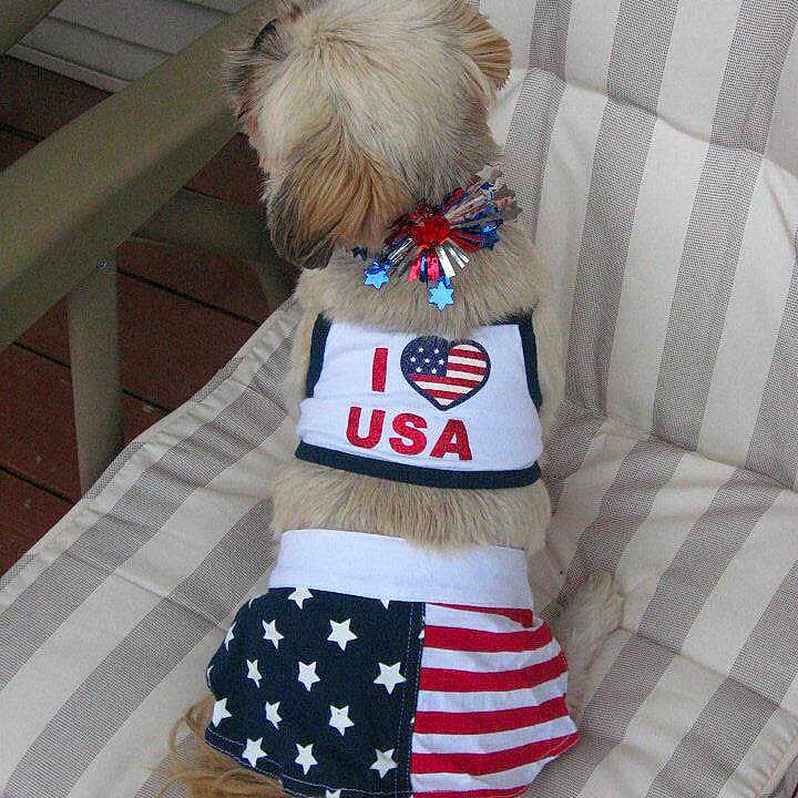 Jem is registered to the contest to win money with this photo: