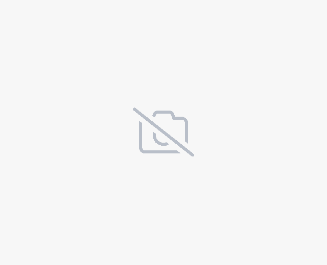 Udix
