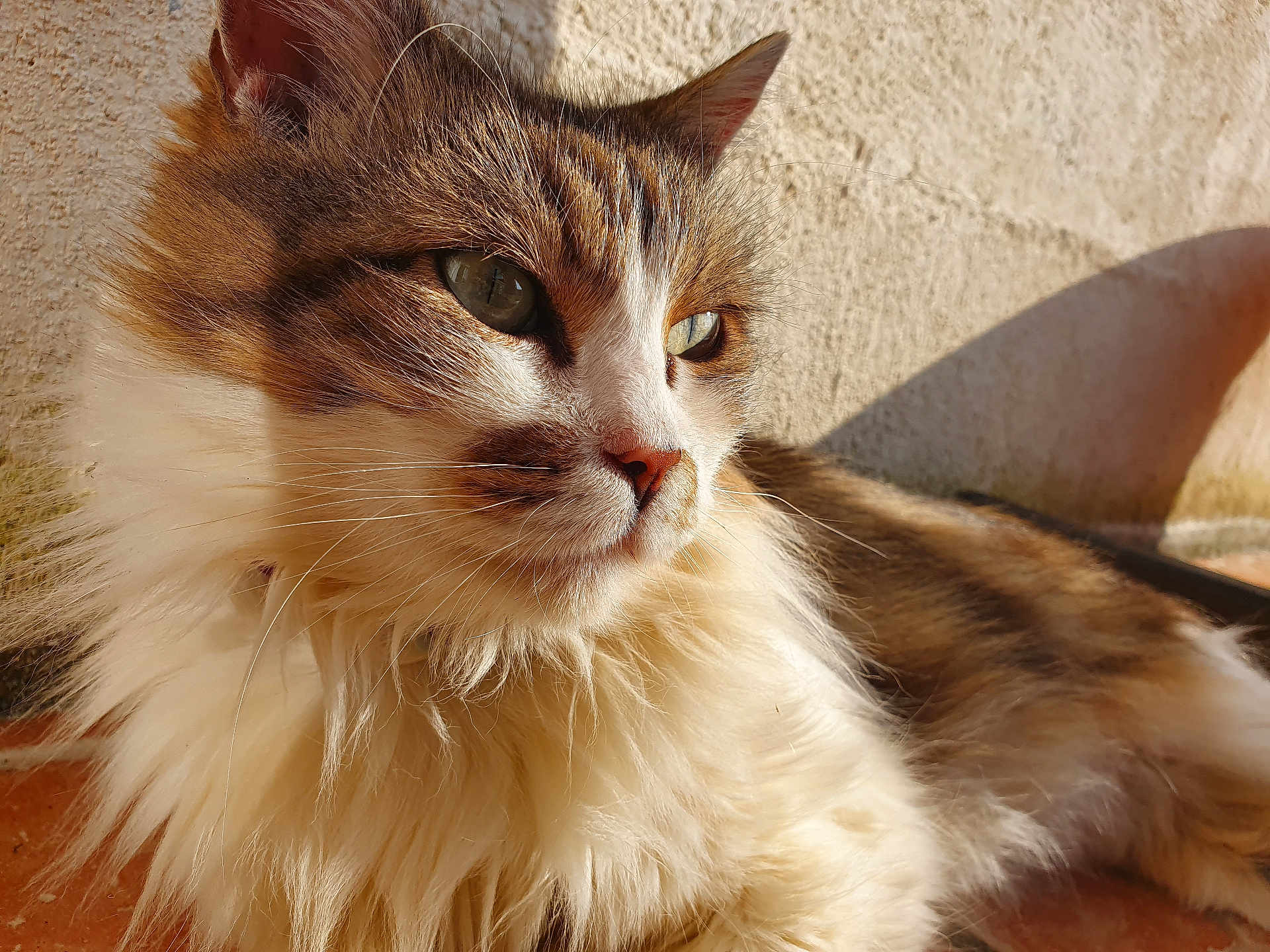 Princesse