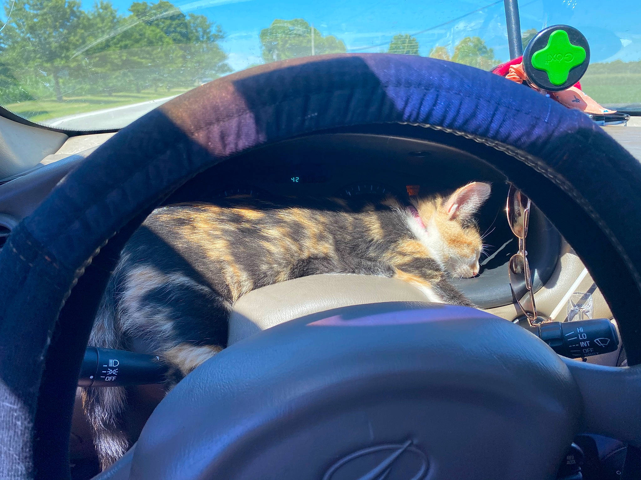 Lucy is registered to the contest to win money with this photo: alloy_wheel, auto_part, automotive_design, automotive_exterior, automotive_tire, automotive_wheel_system, bicycle_tire, fender, grass, motor_vehicle, recreation, rim, spoke, synthetic_rubber, tints_and_shades, tire, tire_care, tread, vehicle, wheel