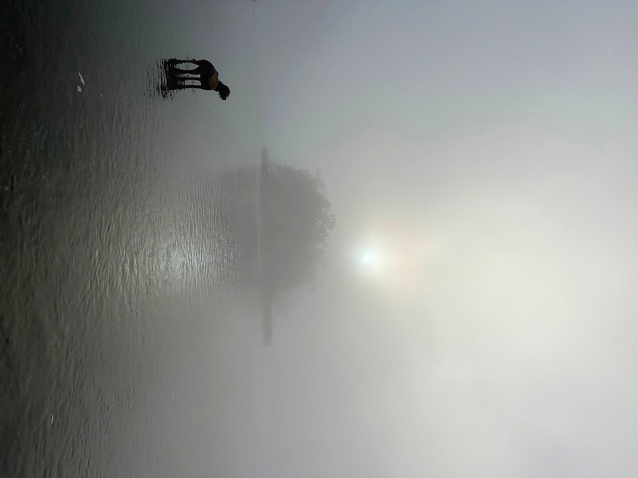 Odie joined the competition — help win amazing prizes! atmosphere, atmospheric_phenomenon, cloud, darkness, extreme_sport, fog, grey, haze, lens_flare, light_fixture, liquid, mist, monochrome, monochrome_photography, parachute, recreation, sky, tints_and_shades, tree, water