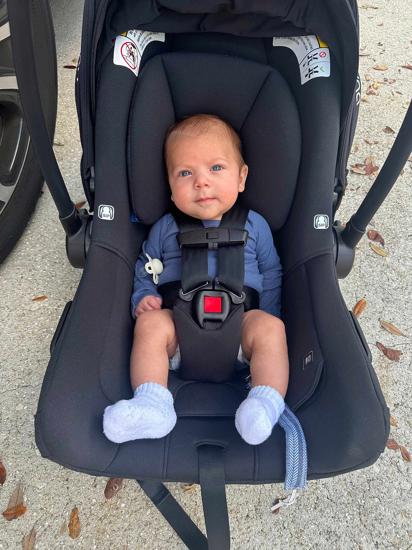 Owen joined the competition — help win amazing prizes! baby, infant, car_seat, stroller, harness, buckle, socks, pacifier, pacifier_clip, blue_eyes, newborn, concrete, leaves, outdoor, portrait, seat, clothing, headrest, black_fabric, carseat_handle