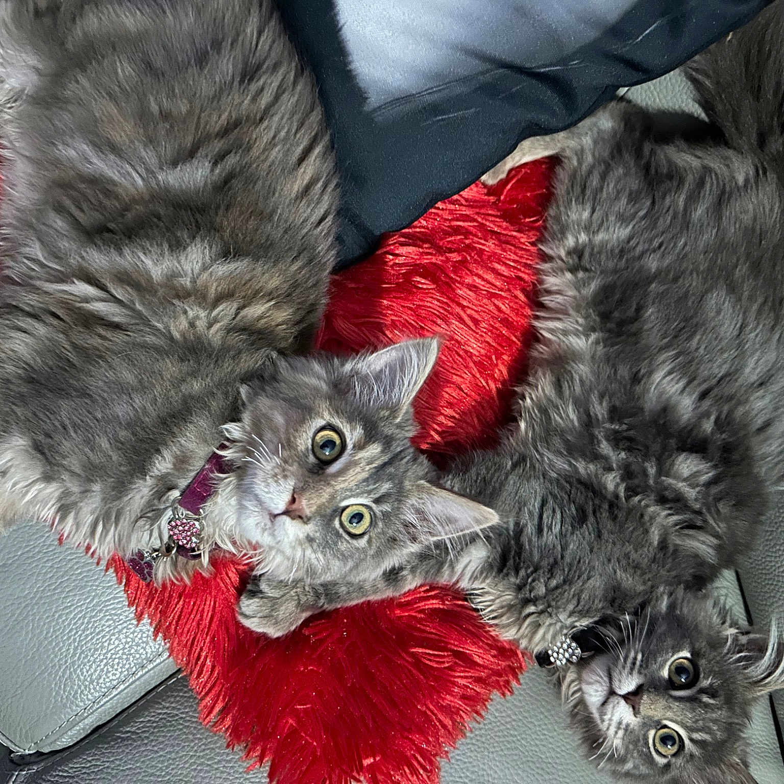 Urkan Et Unabella