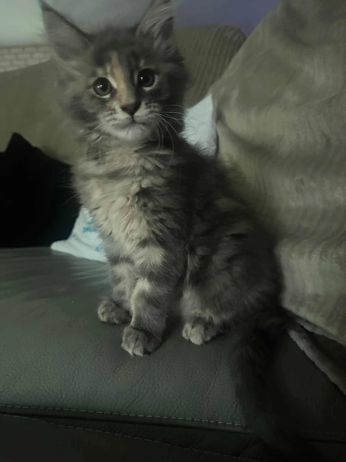Akyra