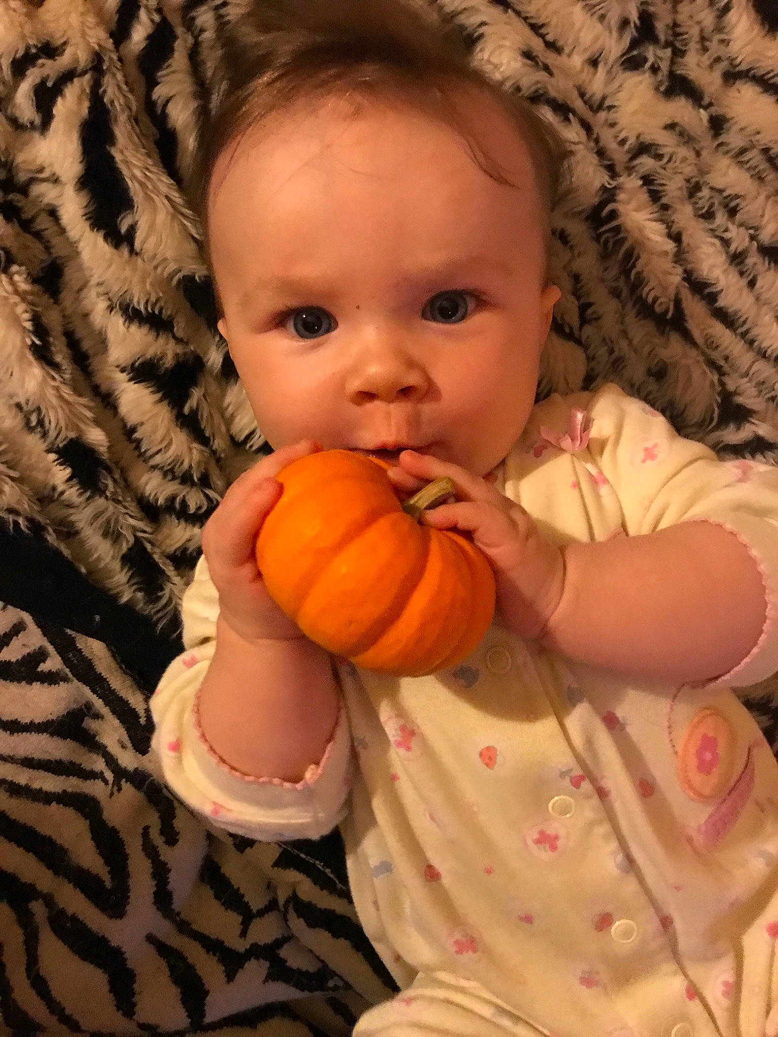 Sienna is registered to the contest to win money with this photo: baby, calabaza, cheek, child, eye, face, food, fruit, iris, mouth, nose, orange, peach, person, plant, skin, thumb, toddler, vegetarian_food, winter_squash